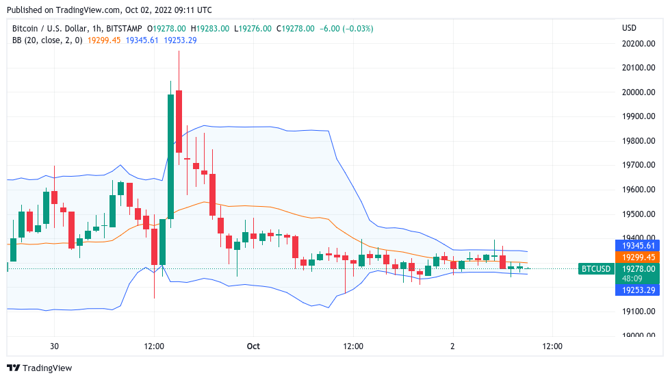 BCH to USD | How much is Bitcoin Cashs in USD