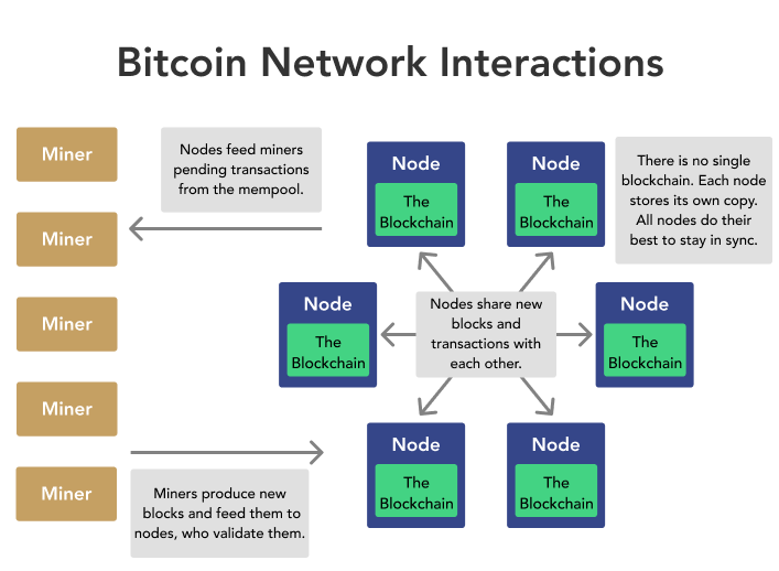 What is a bitcoin node and how does one work? - Unchained