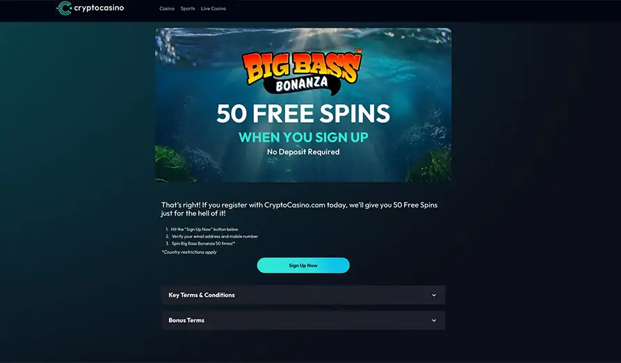 Best No Deposit Casino Bonuses (Free Spins, No Deposit Bonus Codes)