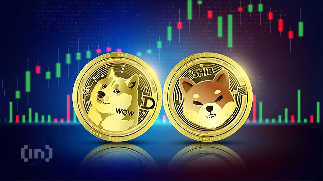 Bitcoin to Dogecoin Exchange Rate Chart | Xe