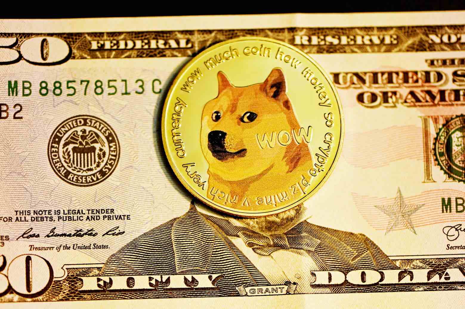 Convert 10 DOGE to USD - Dogecoin to US Dollar Converter | CoinCodex