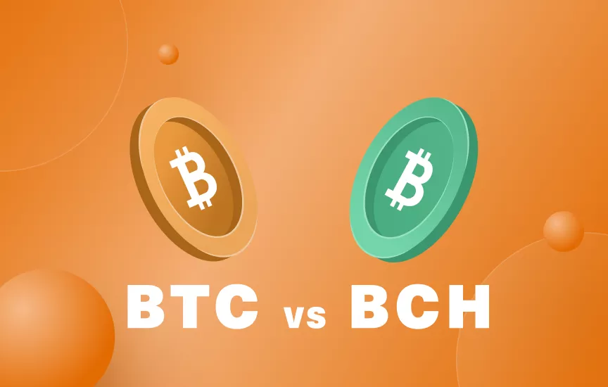 Learn to tell the difference between Bitcoin (BTC) And Bitcoin Cash (BCH)