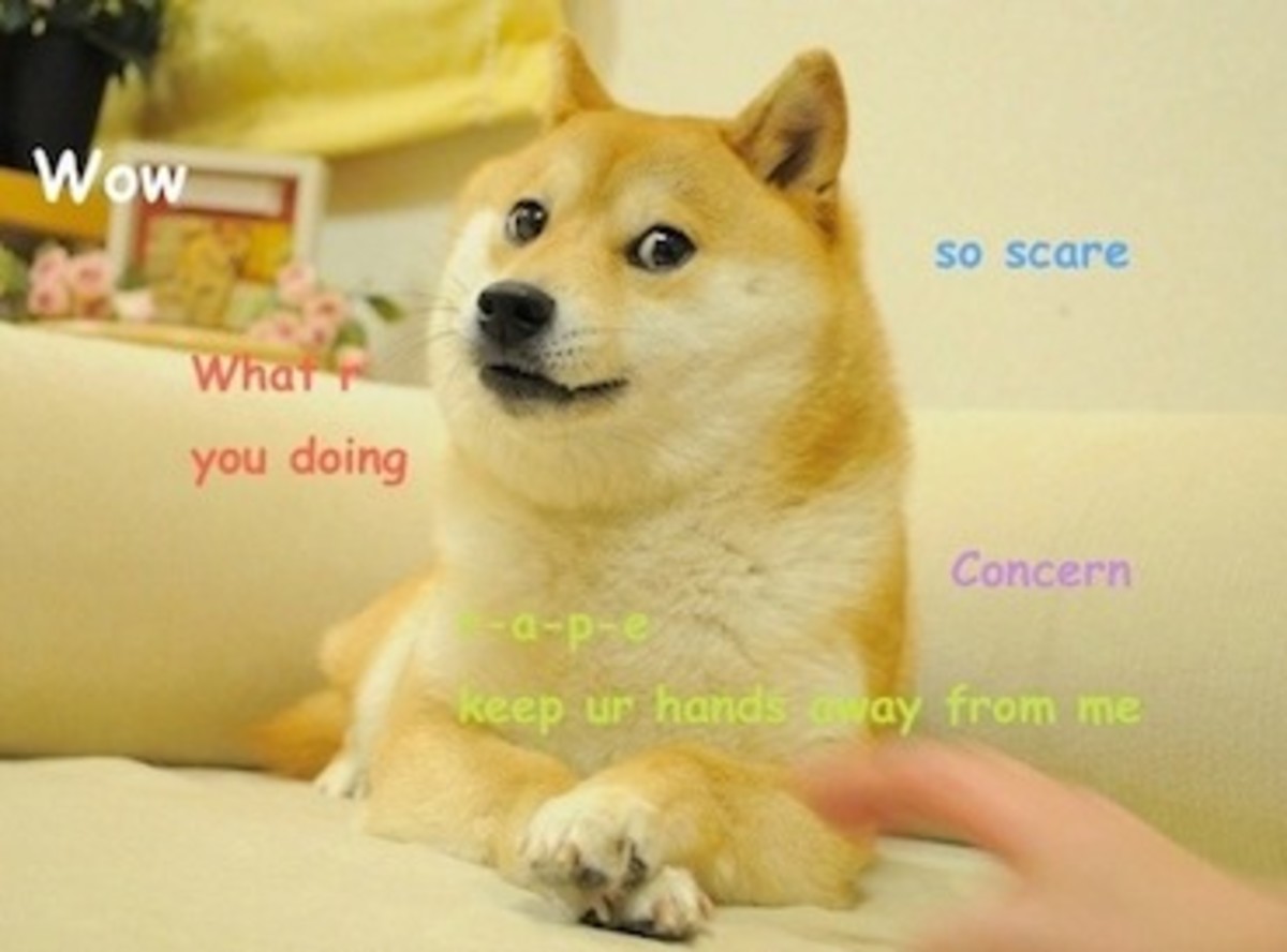 Home · dogecoin/dogecoin Wiki · GitHub