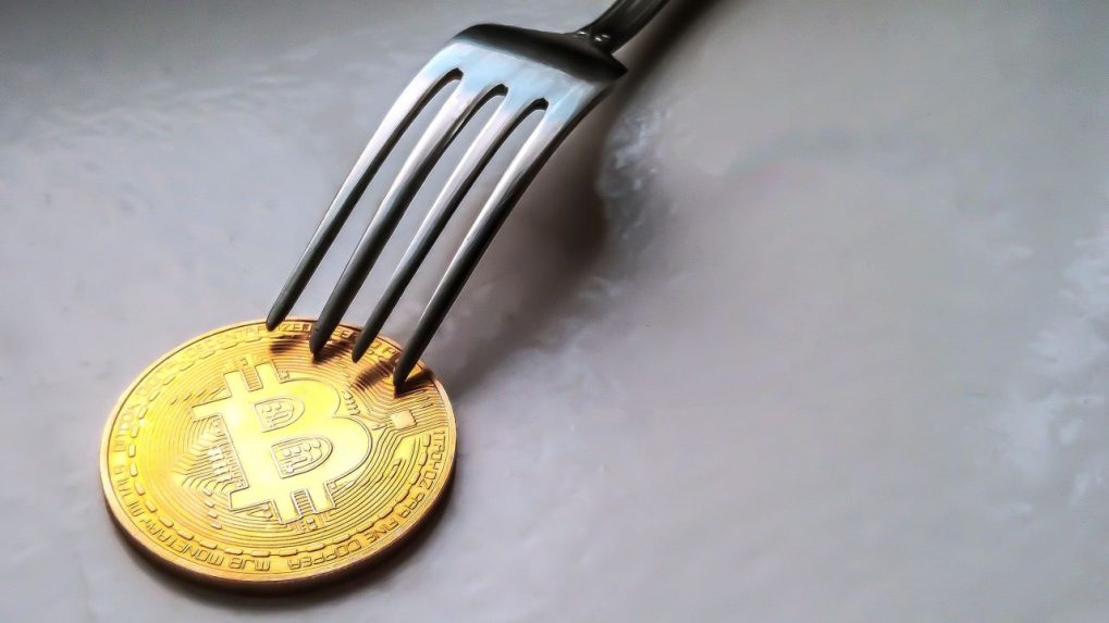 A Full List of Bitcoin Hard Forks (UPDATED )