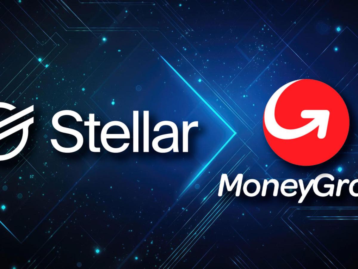 Navigating the Stellar Universe: Key Metrics to Assess XLM Investment Potential | The Emory Wheel