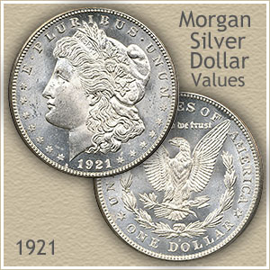 1 dollar - Morgan Dollar, USA - Coin value - ecobt.ru