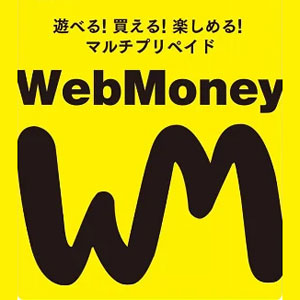 Convenient way to deposit funds to your Steam account with WebMoney | WebMoney Transfer News