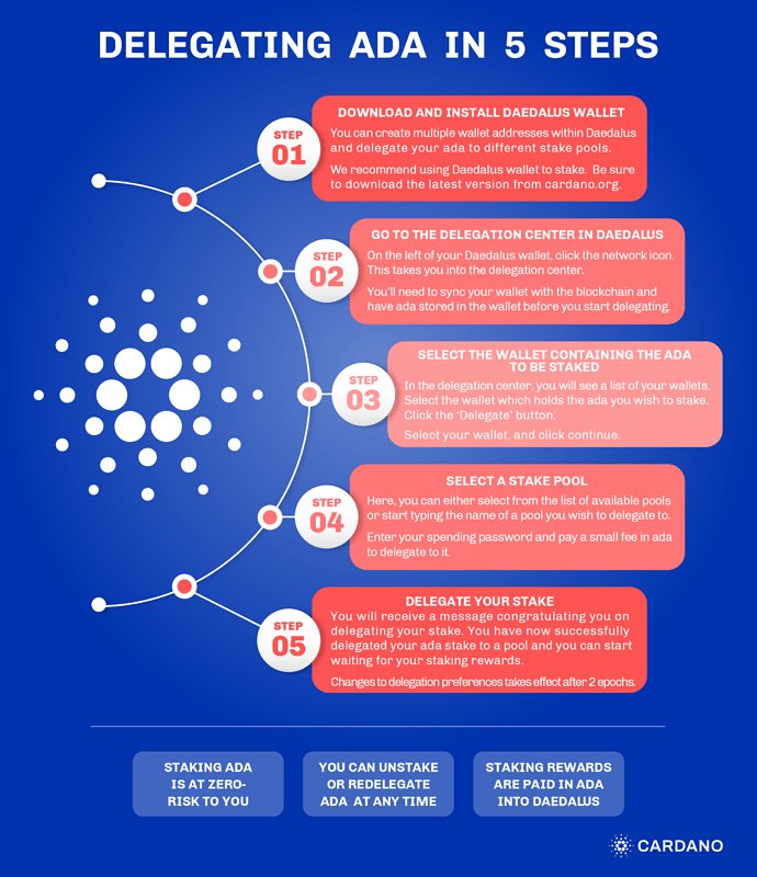 Cardano Staking - A Comprehensive Guide for Beginners