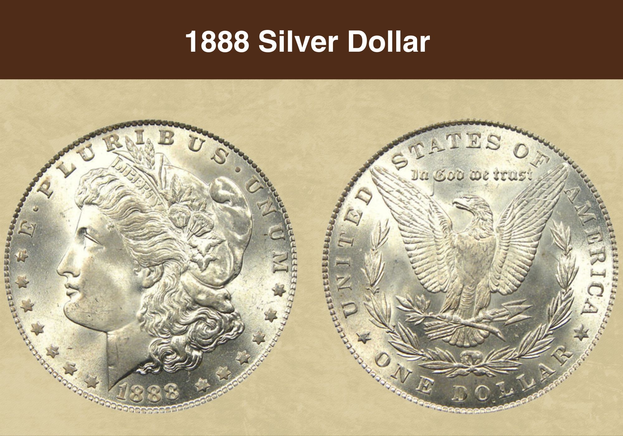 Morgan Silver Dollar Value | Discover Their Worth