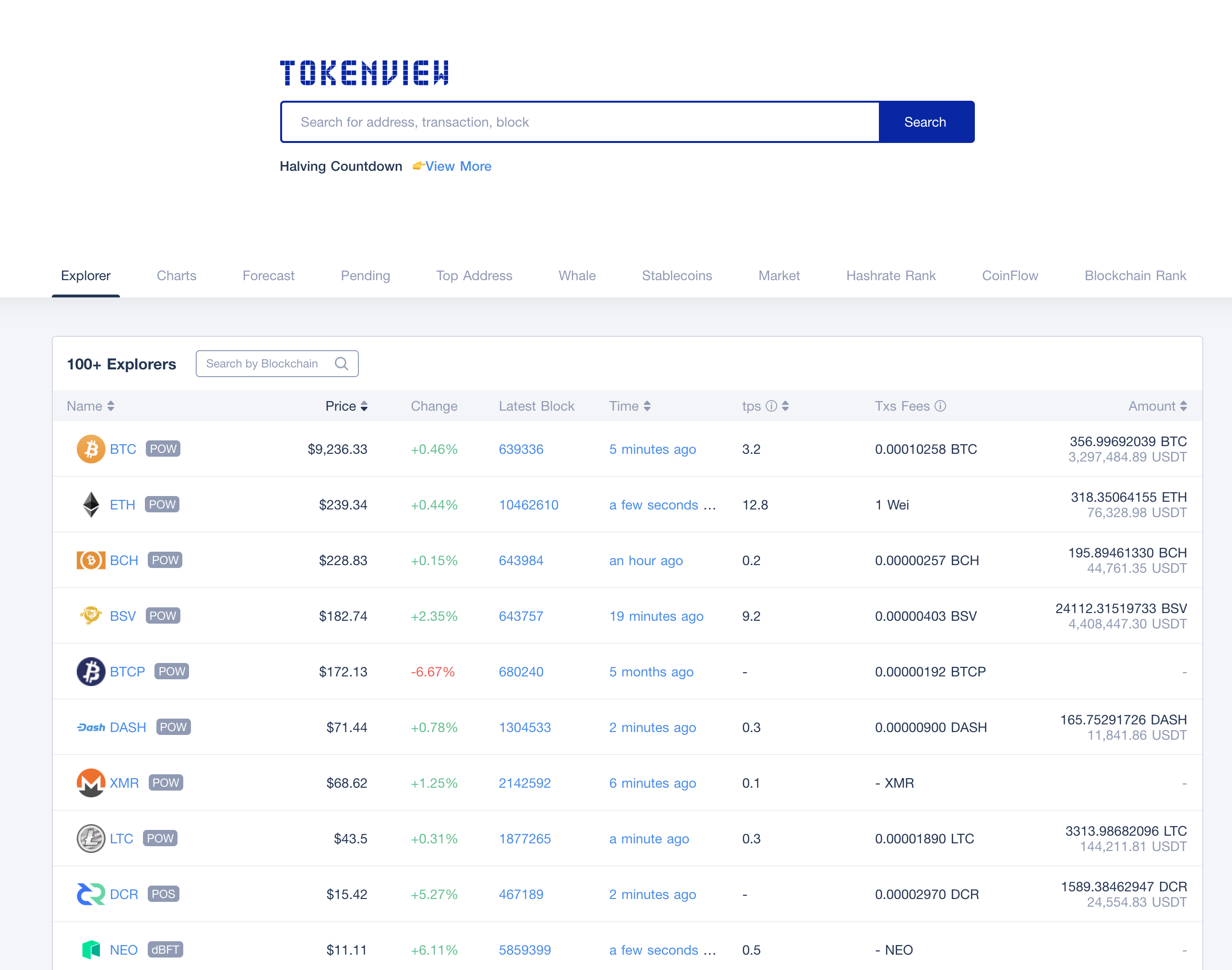 Top Richest Bitcoin Cash Addresses