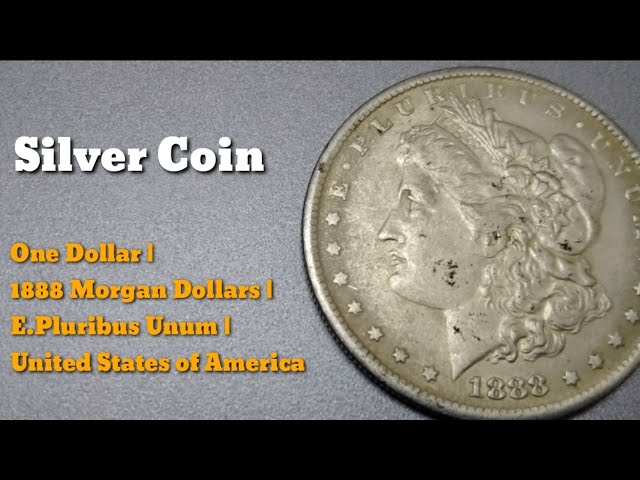 Silver Dollar | Learn the Value of This Coin