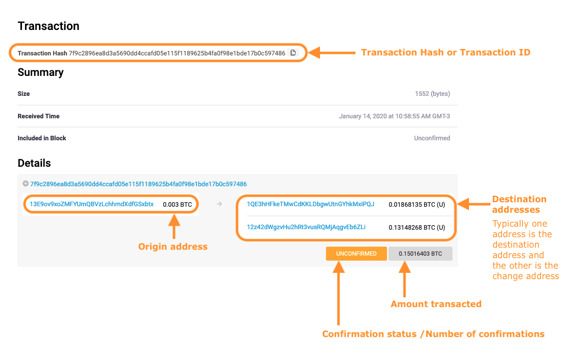 Bitcoin Just Processed More Transactions Than Ever Before - Blockworks