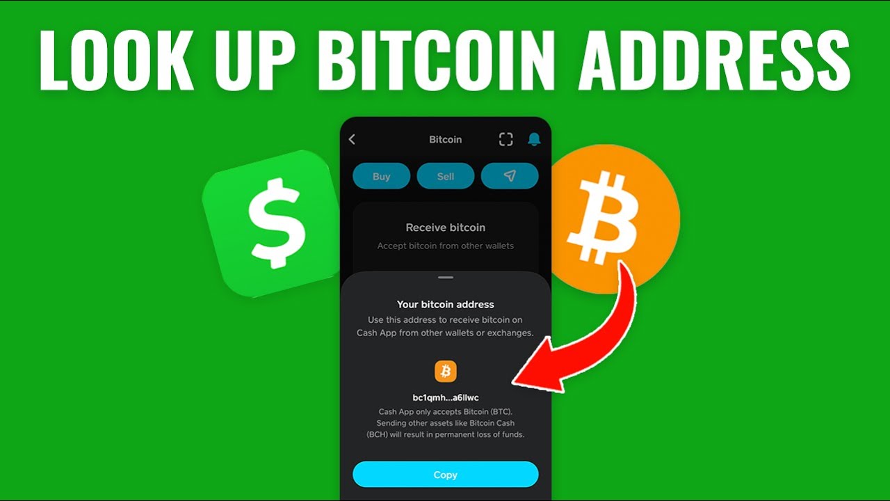 Bitcoin Address | Wallet Lookup - Blockonomics