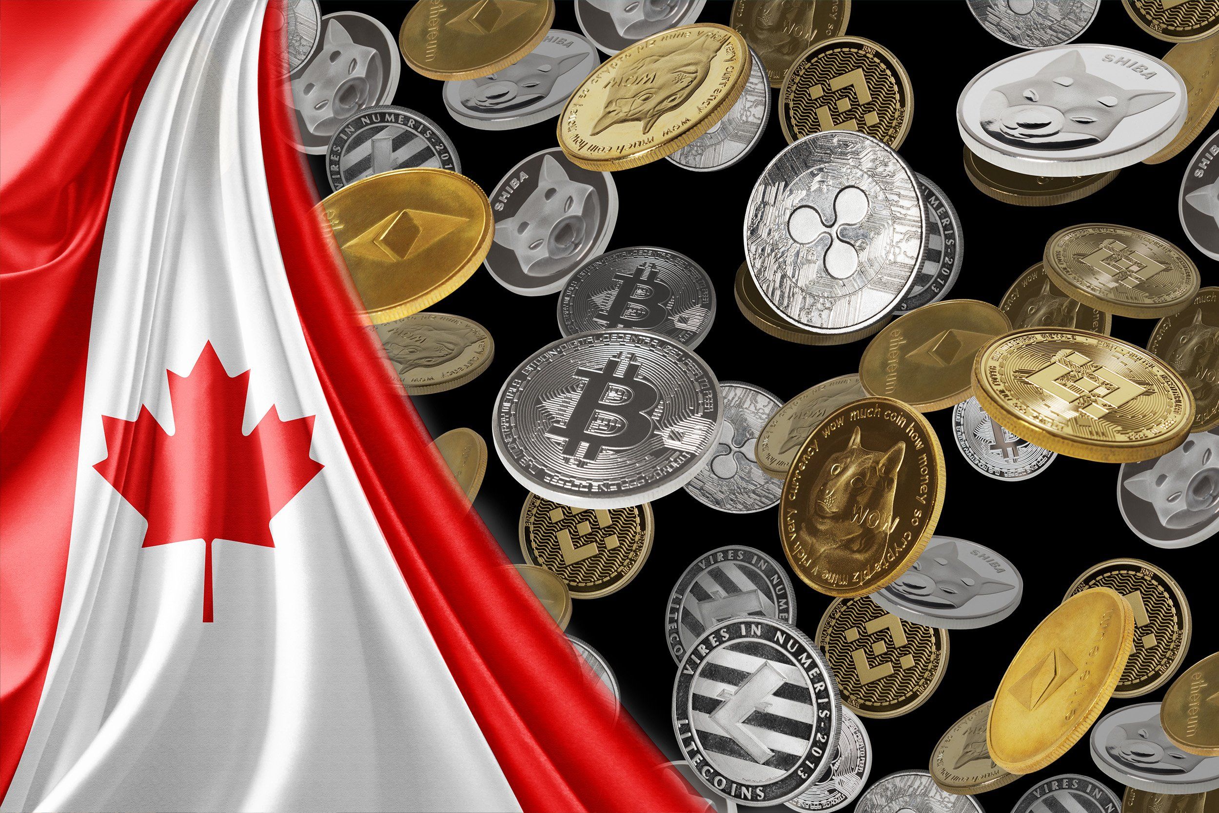 Bitcoin to Canadian Dollar Exchange Rate Chart | Xe