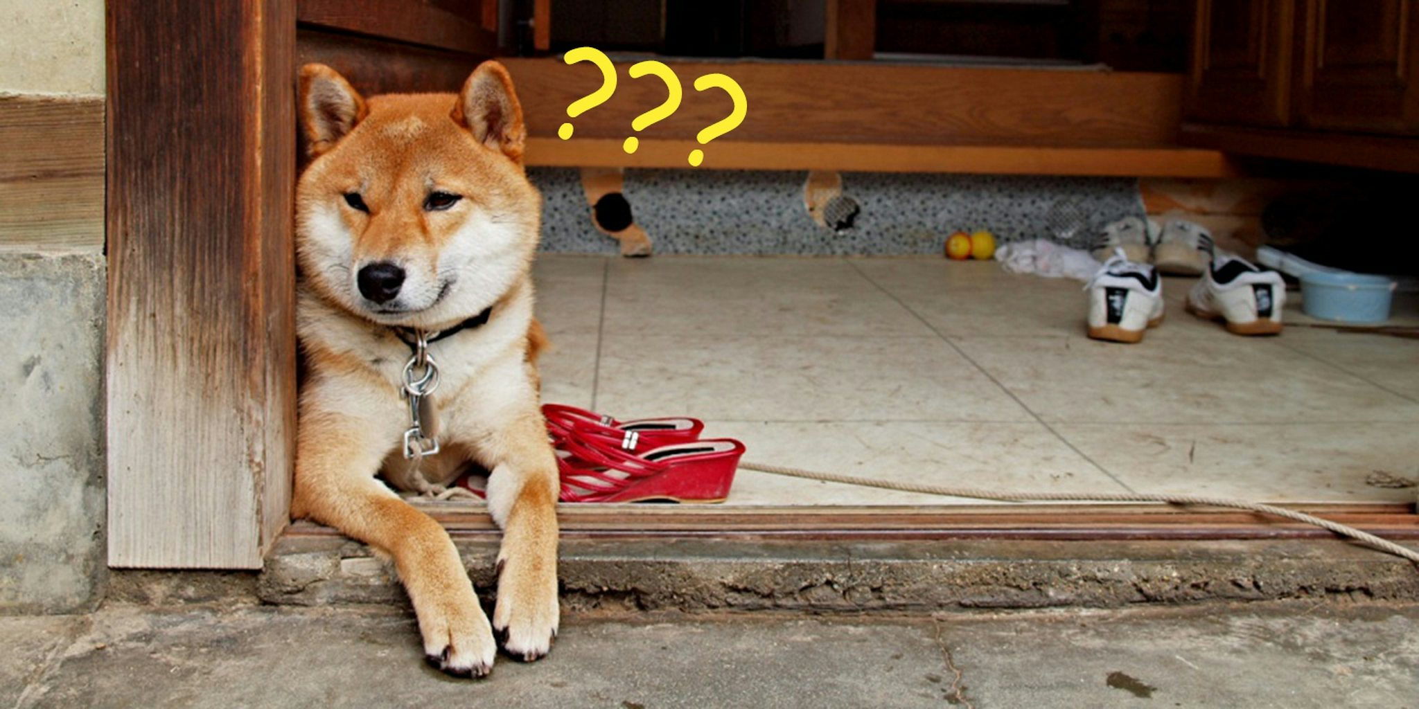 How to Pronounce Dogecoin: Listen to the 3 Ways to Say It