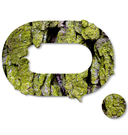Moss Carbon Credit (MCO2) - The Giving Block