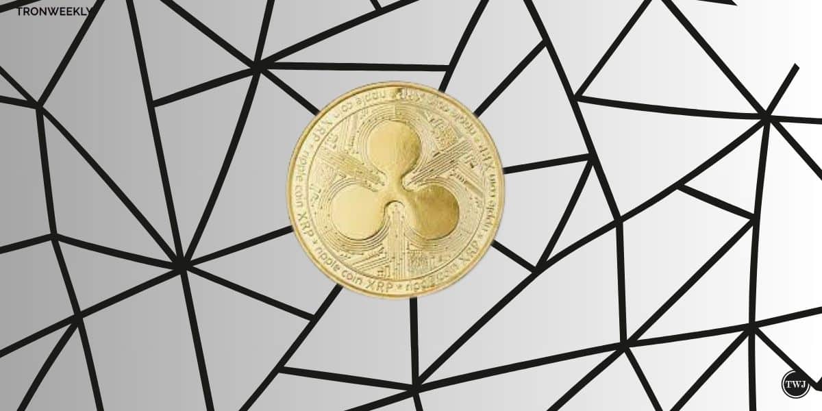 Ripple Could Succeed Regardless Of Sec Case Outcome
