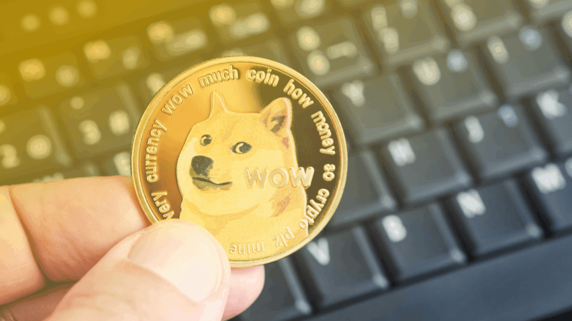 Buy Dogecoin - DOGE Price Today, Live Charts and News