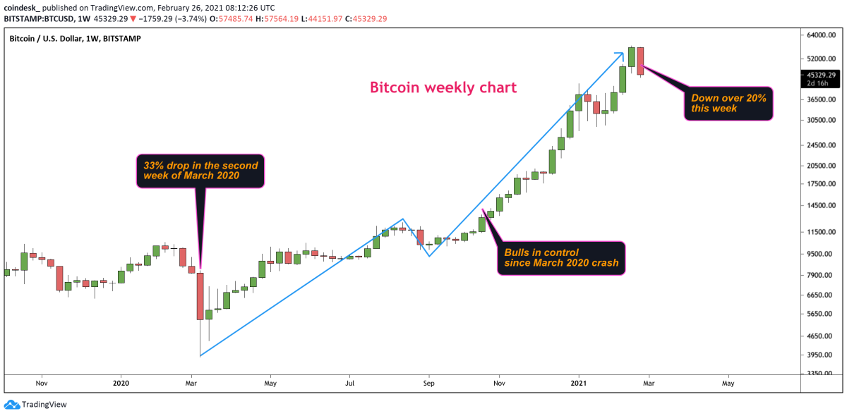 Convert 1 BTC to COON - Bitcoin to Maine Coon Converter | CoinCodex