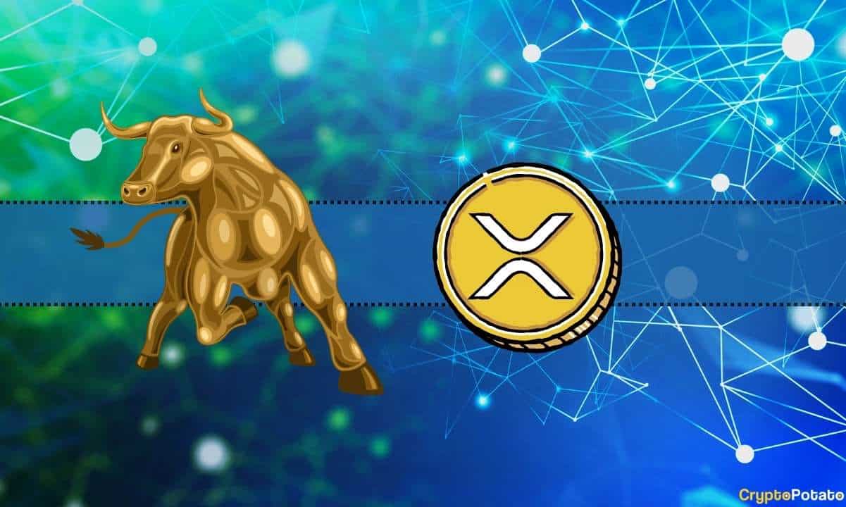 3x Long XRP Token (XRPBULL) Price CAD | News, Trends & Charts | Bitbuy