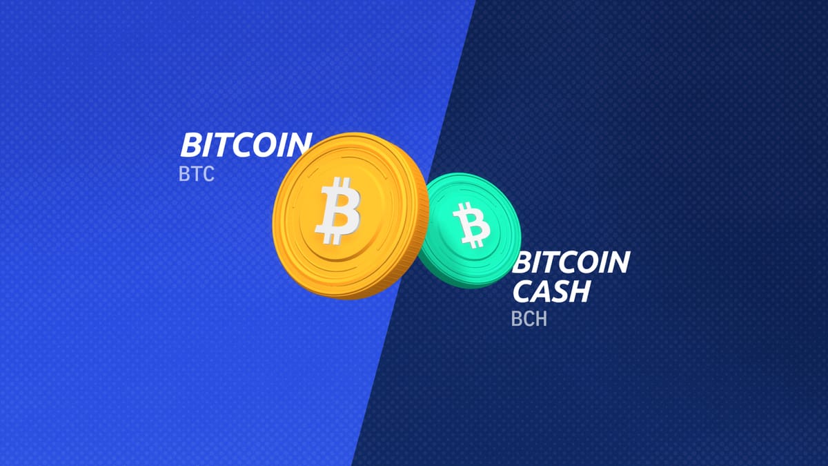 How Does Bitcoin Cash Work? BCH and Electronic Cash | Gemini