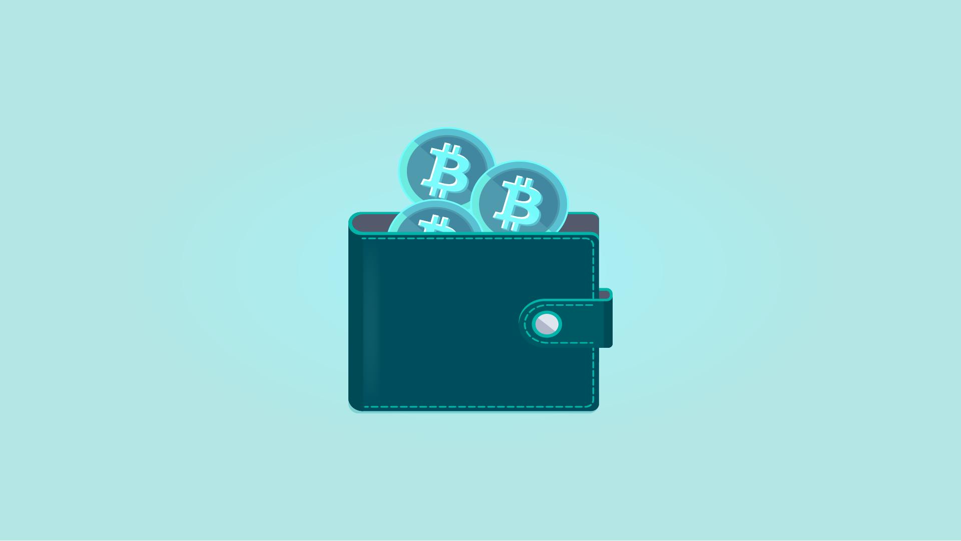 Best Cryptocurrency Wallets For 