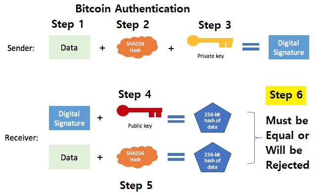 What Kind of Data Does Bitcoin Use? - Planet Compliance