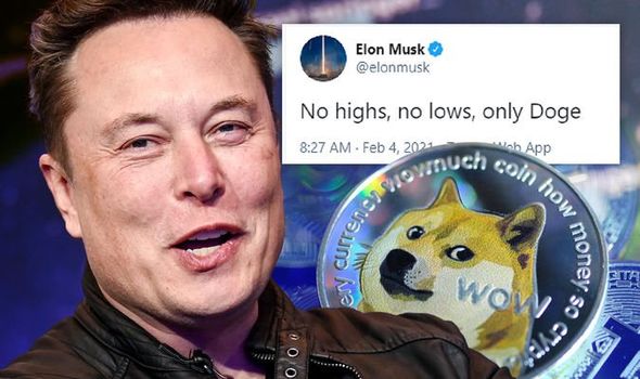 DOGE Spikes 27% on Elon Musk Tweet - Blockworks