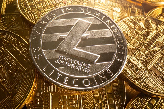 Litecoin Price History | LTC INR Historical Data, Chart & News (5th March ) - Gadgets 