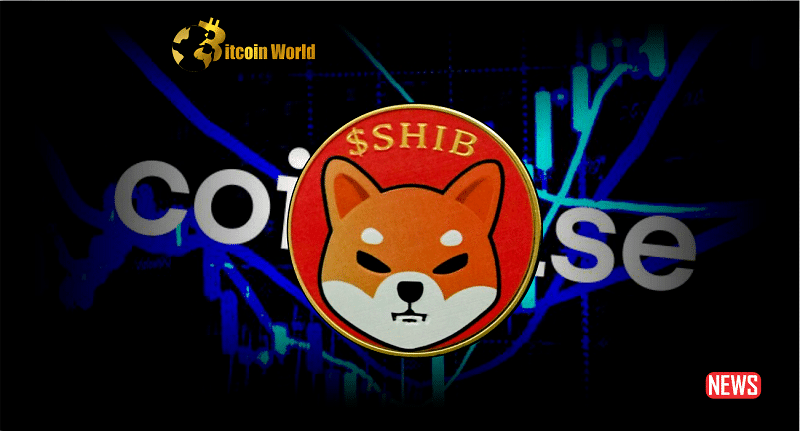 Shiba price today, SHIBA to USD live price, marketcap and chart | CoinMarketCap