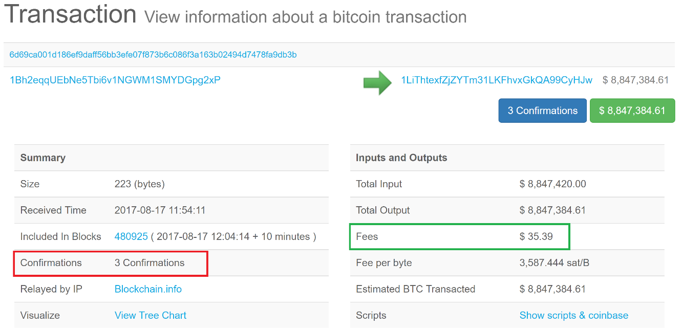 How to Check Your Crypto Transaction Status?