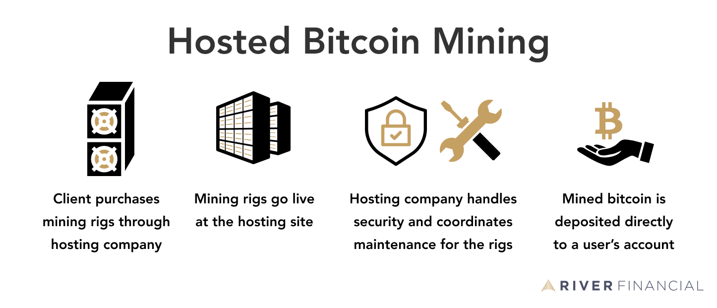 Musk Miners | Hosting