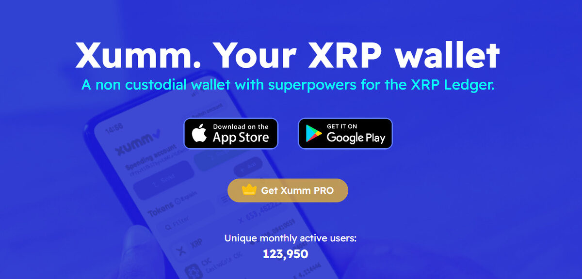 How To Choose The Best Ripple Wallet: Complete XRP Wallet Guide