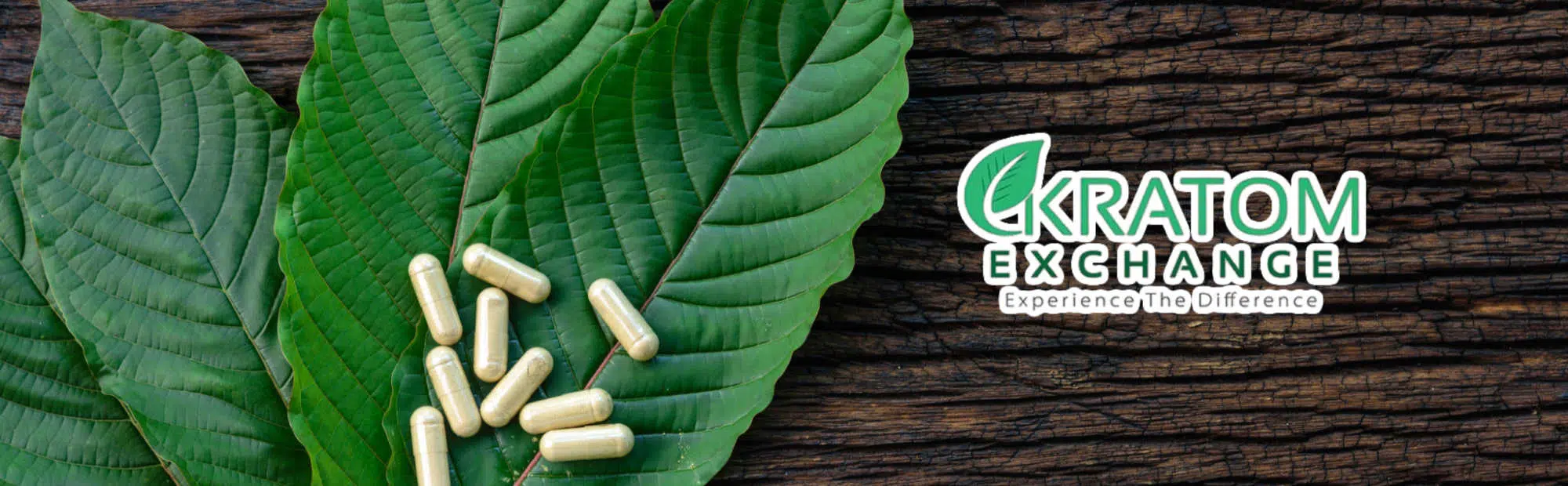 Kratom Exchange - Digital marketing case study - CB/I Digital