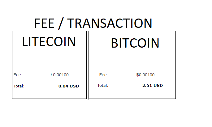 Litecoin LTC Transactions Hit All-Time High as Bitcoin BTC Fees Surge Amic BRC Meme Coin Frenzy