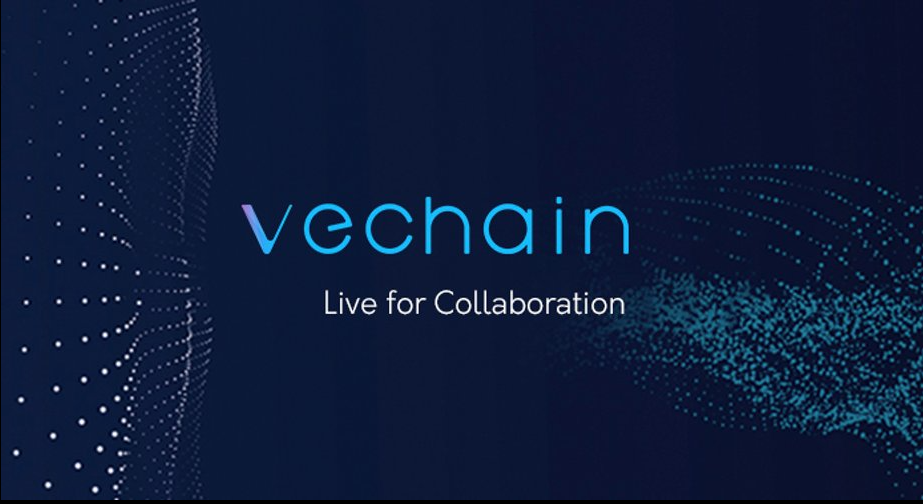 VeChain price live today (08 Mar ) - Why VeChain price is up by % today | ET Markets