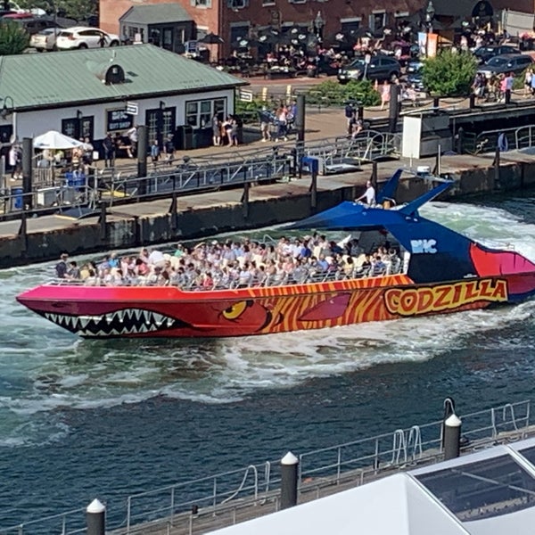 Codzilla | Boston's Speed Boat Tour | City Cruises