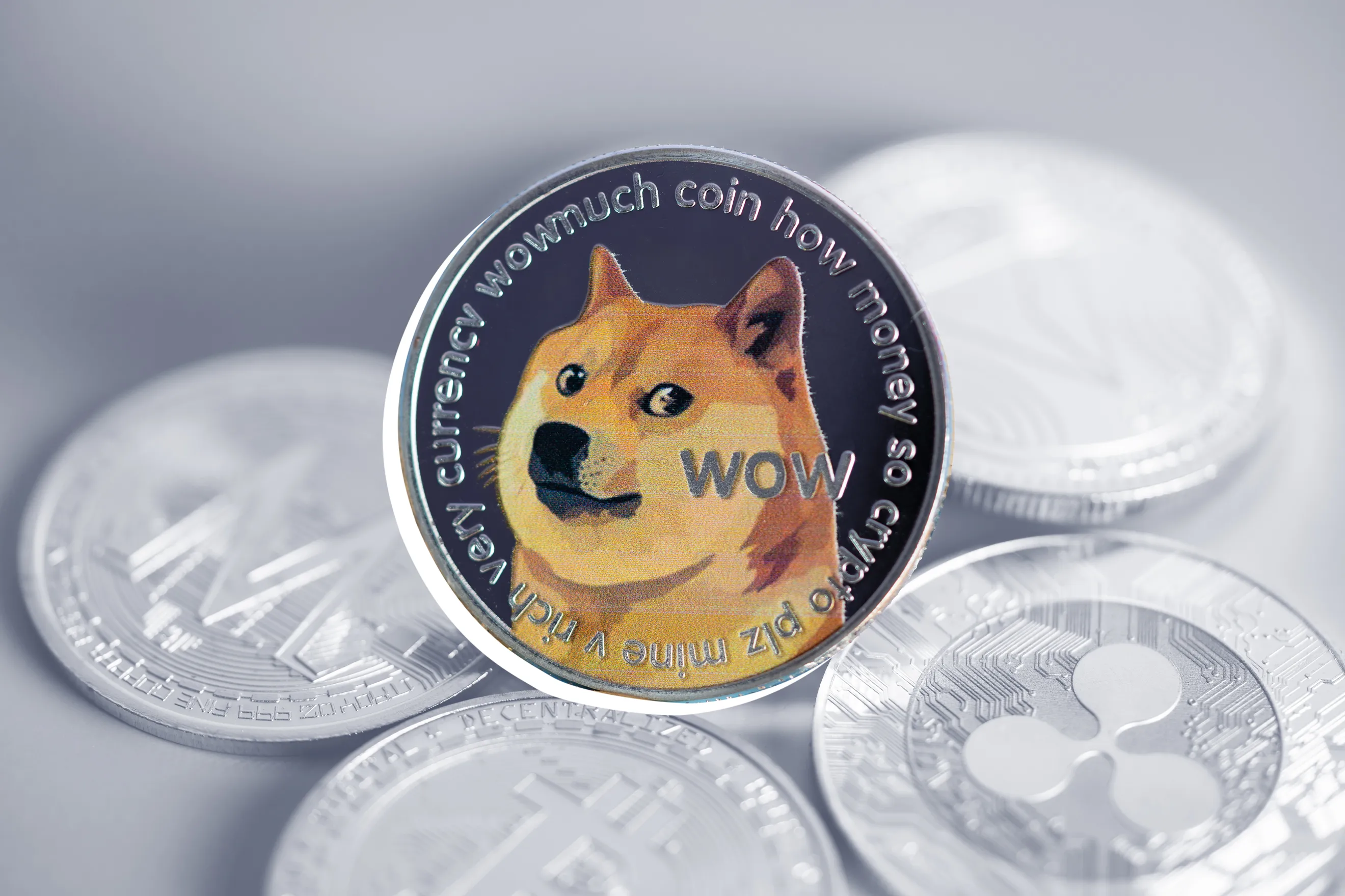 Buy Dogecoin (DOGE) | How to buy Dogecoin | Phemex