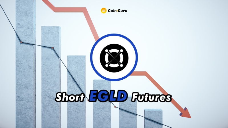 Elrond Price Prediction | EGLD Crypto Forecast up to $