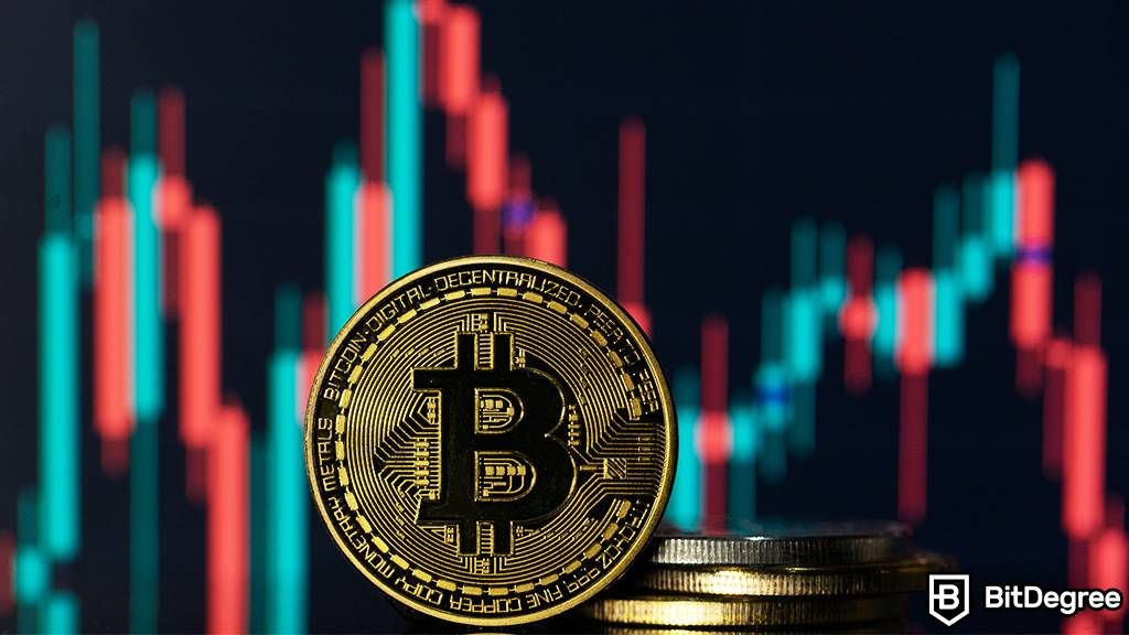 Bitcoin Price History: What Was Bitcoin's Highest Price?