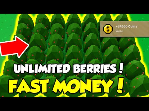 10 MILLION COINS + Berry Seeds Roblox Islands £ - PicClick UK