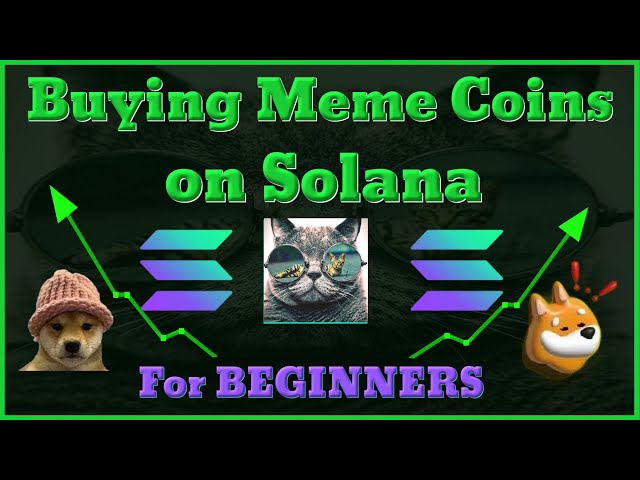 Solana-Based Meme Coins See 80% Price Drop After December Frenzy
