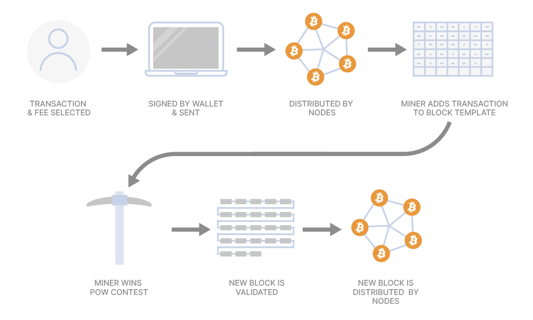 Transactions — Bitcoin