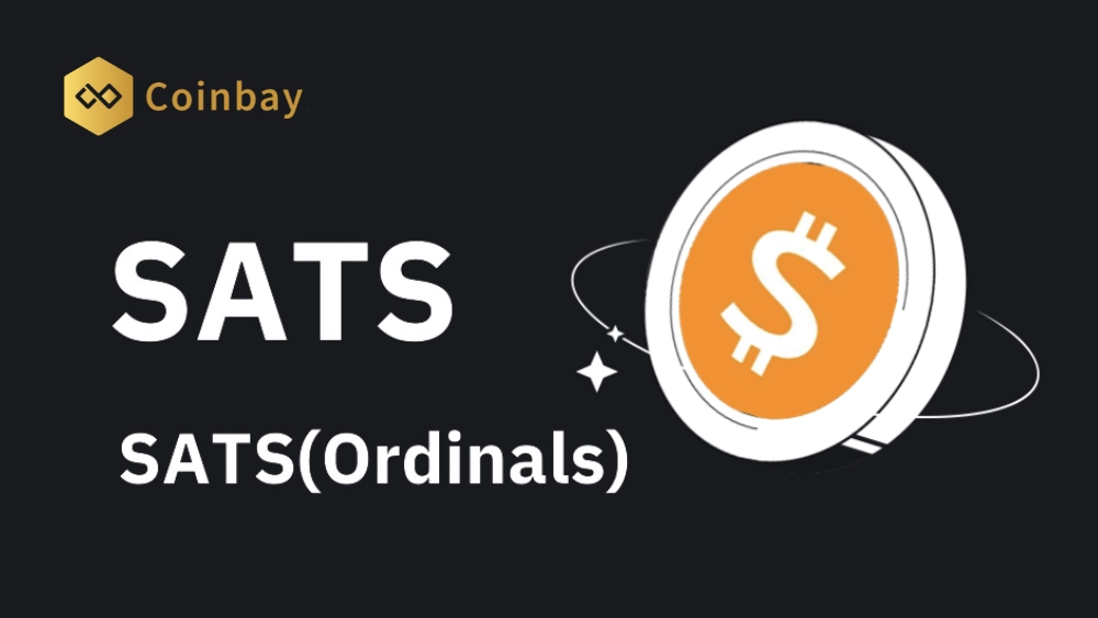 Bitcoin Ordinals Use Cases: From Digital Art to Rare Sats & More