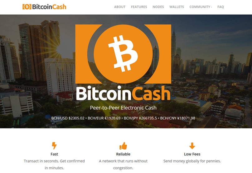 What Is Bitcoin Cash (BCH): All You Need To Know