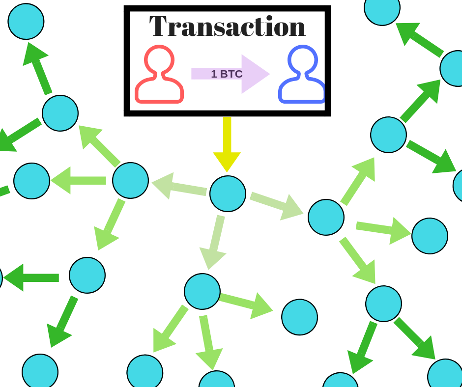 How Bitcoin Nodes and Bitcoin Miners Differ | The Crypto Times