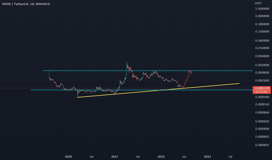 How to Invest in the WINk IEO on Binance? | CoinCodex