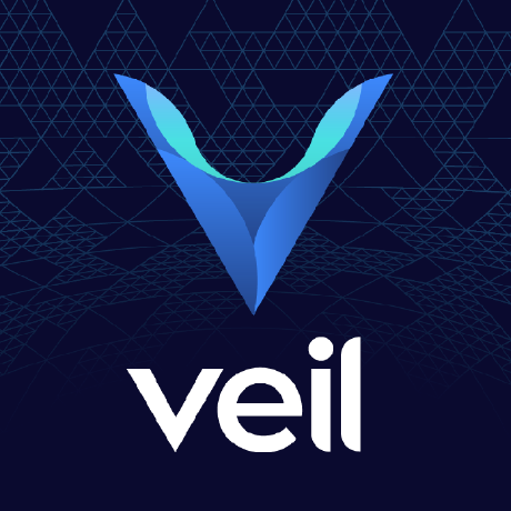Steyn Studio Architects and Designers - The Veil