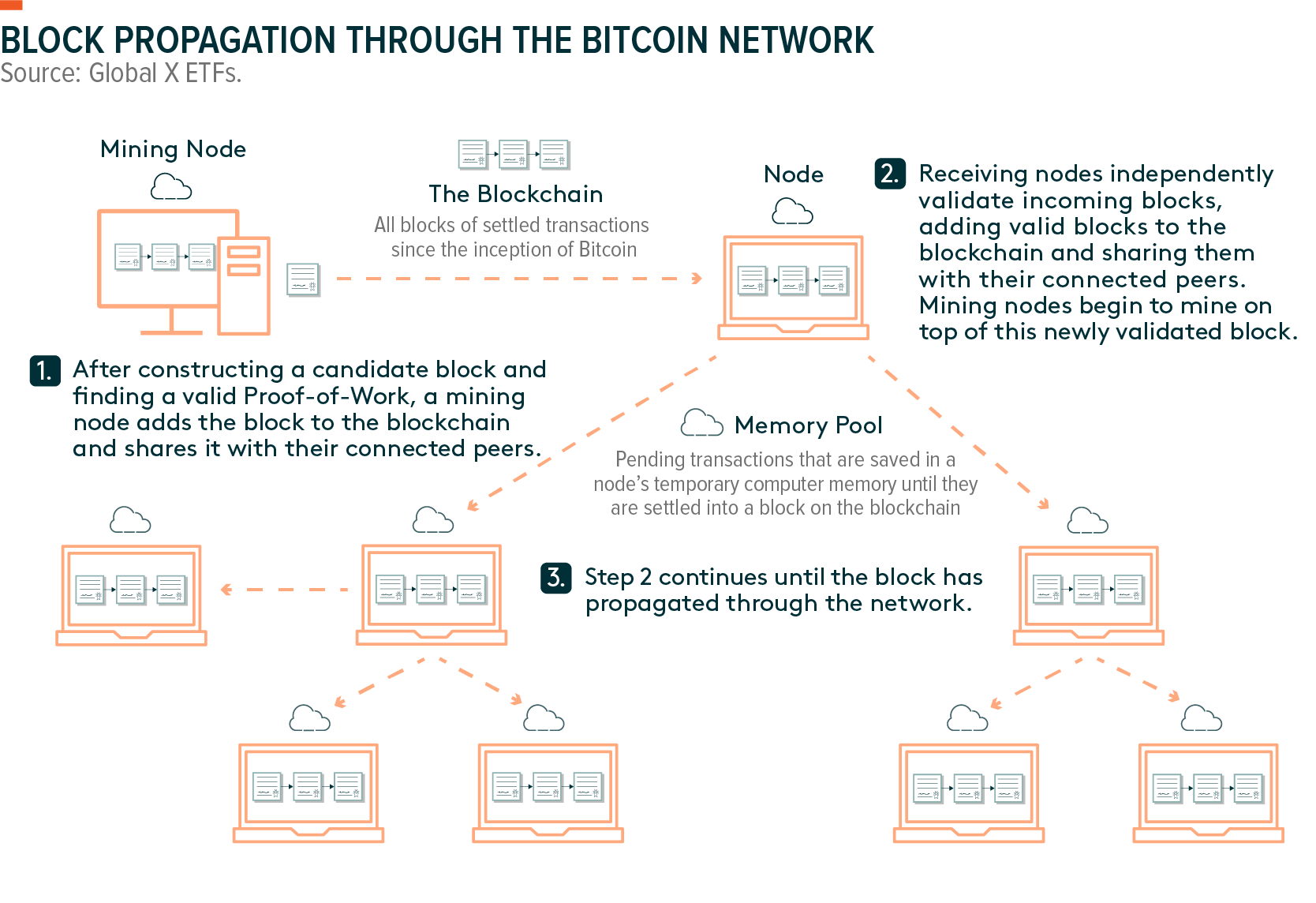 What are the Types of Nodes in Blockchain? - Utimaco