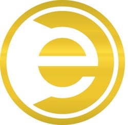 ecobt.ru: U.S. Army / Sergeant E-5 - Challenge Coin 